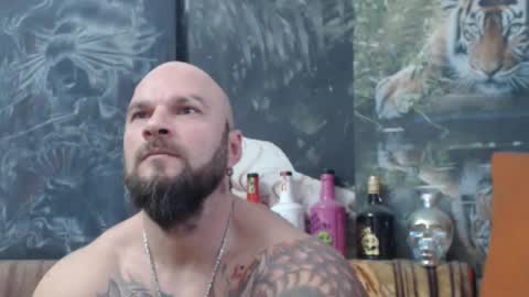 viking online show from November 11, 6:59 am