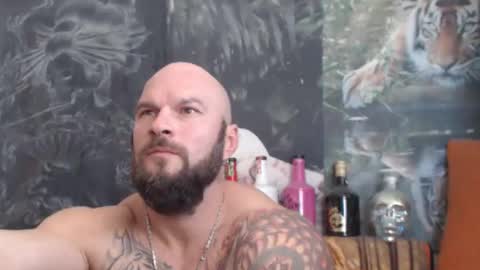 viking online show from November 1, 8:24 am