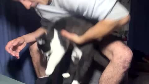 Sanji online show from November 22, 8:24 am