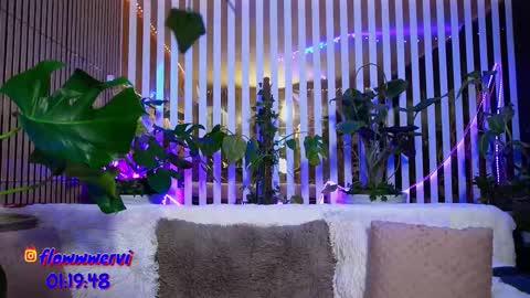 Violetta online show from February 9, 6:11 pm