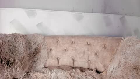 violetwinters_ online show from April 12, 7:45 am