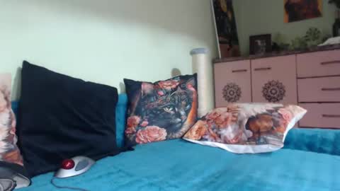 Viva online show from March 11, 8:31 pm