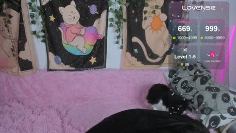 Vivi   online show from December 3, 12:23 pm