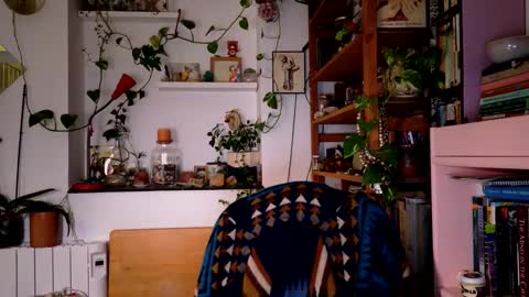 Viv online show from December 27, 8:18 pm