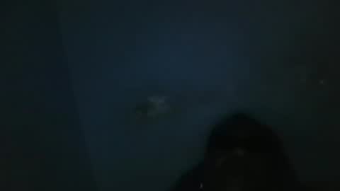 vivitransbahia22cm online show from February 12, 10:24 am