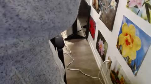 Vixen Fyre online show from December 12, 5:59 pm