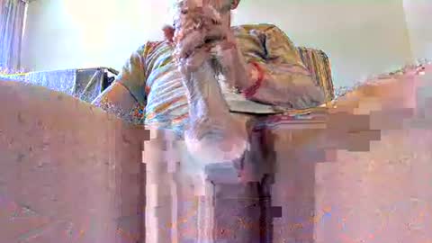 vype121 online show from January 13, 9:50 am