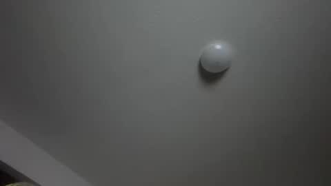 w1llfull_disobediance online show from September 18, 9:02 am