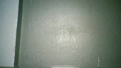 Champion Lover online show from April 30, 2:27 am