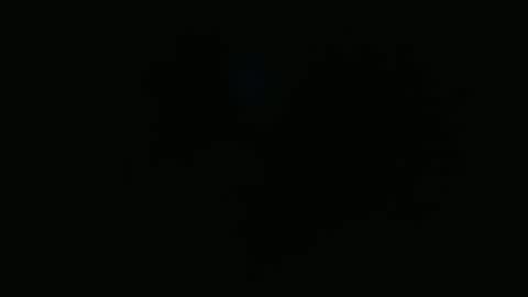 wapos__25 online show from November 25, 1:48 am