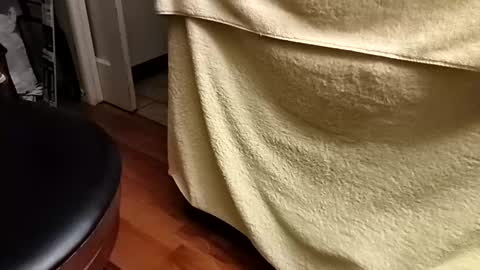 Watchm333 online show from December 14, 8:09 am