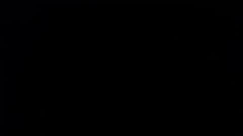 wellingtont online show from November 10, 9:06 pm