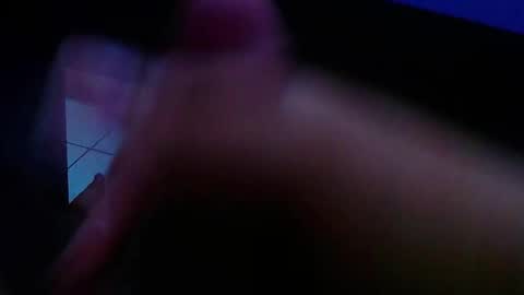 wellingtont online show from February 4, 8:40 am