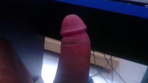 wellingtont online show from January 19, 11:09 am