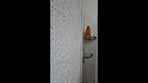 WeLuvDanger2xx online show from April 26, 7:17 am