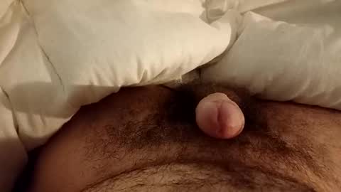 Werty online show from December 12, 11:47 pm