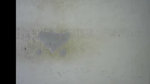 Bella online show from January 13, 11:45 pm