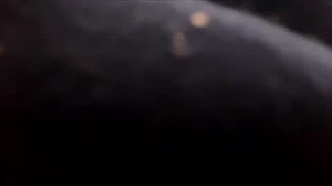 Randy online show from December 1, 1:36 am