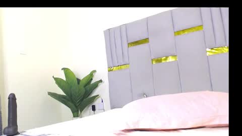 Whinebby online show from December 5, 7:40 am