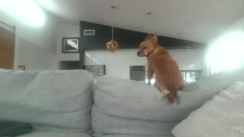 Snapshot of whitepantieman chatting on January 28, 10:12 pm whitepantieman online show from January 28, 10:12 pm