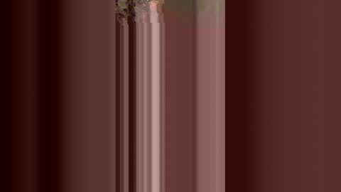 williamcody653 online show from February 15, 6:26 am