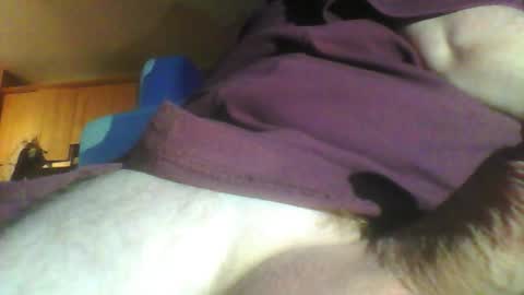 Willy Stroker online show from November 29, 2:14 pm