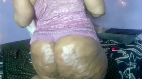 wilmaassylum online show from October 3, 8:00 am