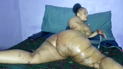 wilmaassylum online show from February 17, 9:08 am