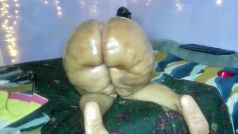 wilmaassylum online show from December 21, 7:04 am