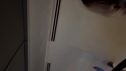 Snapshot of winterraynee chatting on October 19, 2:05 am Winter rayne online show from October 19, 2:05 am