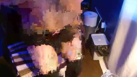 wolfgamer44 online show from January 8, 9:42 pm