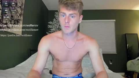 Wolfienov online show from February 14, 12:51 am