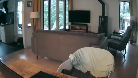 woodwurm and Snoeske online show from February 19, 7:29 am