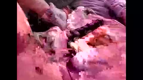 Wowokthankyou online show from December 3, 7:27 am