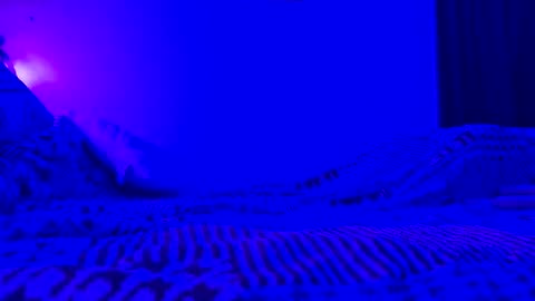 wowsers7 online show from November 7, 7:44 am