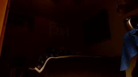 wvuguy1986 online show from March 8, 5:33 am