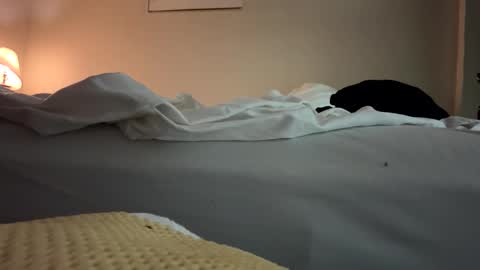 wyattmcc32288 online show from February 27, 2:59 am