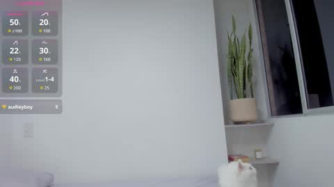 Xavier online show from February 14, 2:14 am