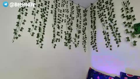 XAYAH online show from October 22, 2:48 am