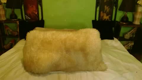 PAMPAM online show from February 27, 2:35 am