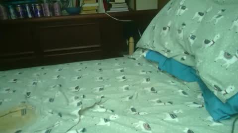 yacht3oy online show from December 20, 9:05 am