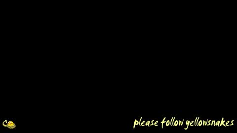 .     y e l l o w s n a k e s       . online show from March 19, 10:36 pm