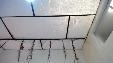 YEM online show from March 16, 4:44 pm