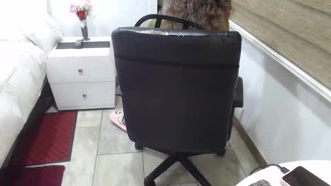 jessy online show from November 5, 2:02 am