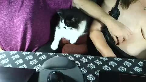 yessirprincesspet online show from September 16, 3:41 am