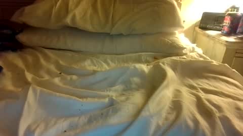 Snapshot of yohanapple chatting on March 1, 5:20 am yohanapple online show from March 1, 5:20 am