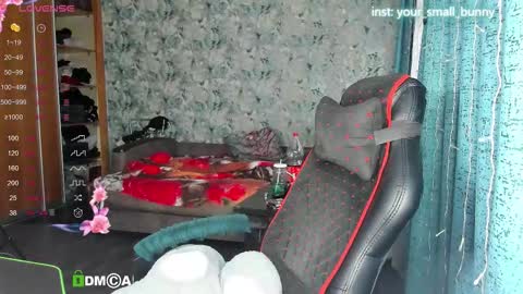 Snapshot of your_small_bunny chatting on September 28, 2:09 am Molly online show from September 28, 2:09 am