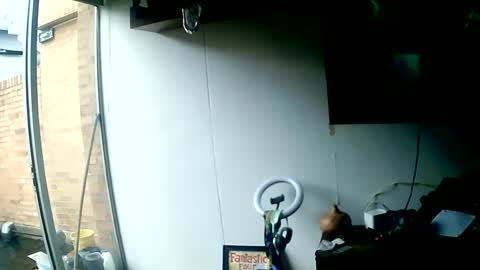 yourpersonalgeniusl online show from May 21, 8:59 pm