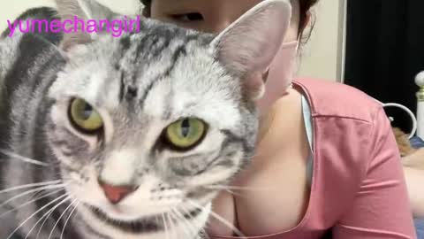 YumechangirlAnime Fan    online show from February 6, 3:16 am