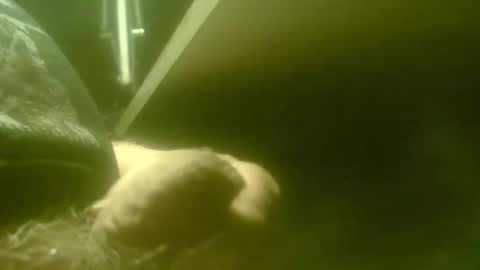 zaboski4 online show from April 27, 7:28 am